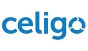 CELIGO Online Training Institute From Hyderabad India